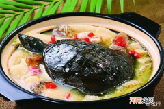 护肝的食物是什么 最护肝养肝的10种食物