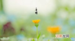 清明节上坟祭品要肉吗 清明节的祭品有哪些？