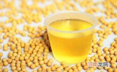 转基因油能吃吗?转基因油可以长期使用吗