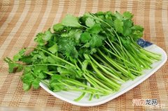 荨麻疹不能吃什么 荨麻疹忌口食物一览表