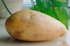 煮土豆要多久，你知道吗？