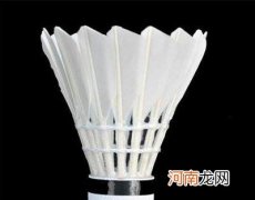 羽毛球的鹅翎需出自同一侧翅膀吗？