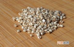 薏米是生的好还是熟的好 食用薏米有哪些注意事项？