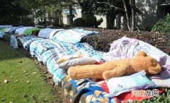 装黑袋子晒 棉被怎么除螨虫，白醋、酒精混合喷洒