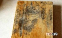 菜板发霉清除妙招，撒盐擦拭/洗洁精清洗/太阳下爆嗮