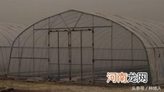 建一个钢架蔬菜大棚大概要多少钱 蔬菜大棚造价每亩多少钱