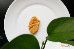 特色街头小吃加盟有哪些