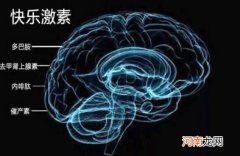 带来愉悦 运动产生多巴胺还是内啡肽？两者会同时产生
