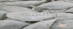 冷冻鱼保质期多久