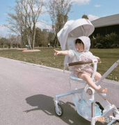 婴儿车应该怎么选 婴儿车品牌排行榜前十名