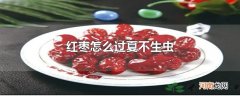 红枣怎么过夏不生虫