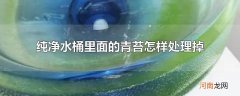 纯净水桶里面的青苔怎样处理掉
