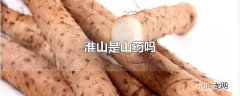 淮山是山药吗
