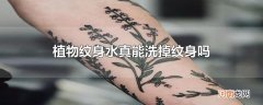 植物纹身水真能洗掉纹身吗
