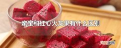 蜜宝和红心火龙果有什么区别