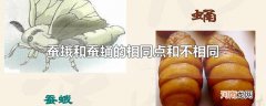 蚕蛾和蚕蛹的相同点和不相同