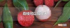 荔枝可以放几天