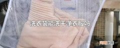 洗衣袋能洗干净衣服吗