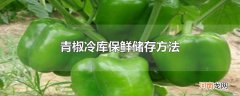 青椒冷库保鲜储存方法