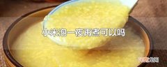 小米泡一夜再煮可以吗