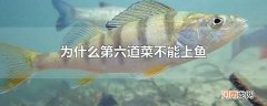 为什么第六道菜不能上鱼