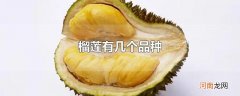 榴莲有几个品种