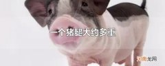 一个猪腿大约多重