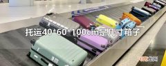 托运40*60*100cm是几寸箱子