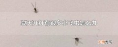 夏天开灯有很多小飞虫怎么办