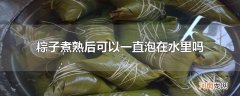 粽子煮熟后可以一直泡在水里吗