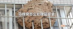 马蜂窝怎么处理最安全
