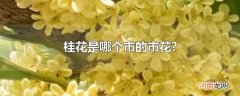 桂花是哪个市的市花?