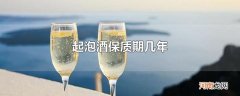 起泡酒保质期几年