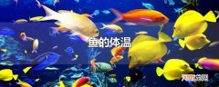 鱼的体温