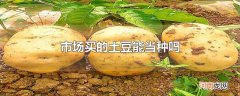 市场买的土豆能当种吗