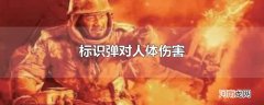 标识弹对人体伤害