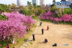 公园在哪里 墨石公园在哪里