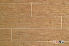 木纹砖品牌排行榜前十名