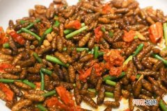 哪里吃 最爱吃猫肉