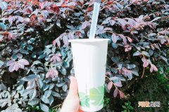 开奶茶店的利润是多少