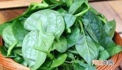 不能与豆腐、牛奶同食 吃木耳菜的禁忌，湿寒体质人禁吃