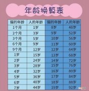 猫的寿命最长能活多少年 猫的一岁是人的多少岁