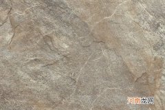 仿古砖十佳名牌排行榜