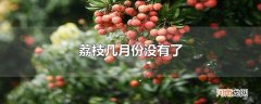 荔枝几月份没有了