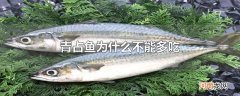 青占鱼为什么不能多吃