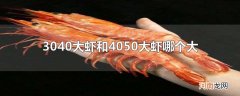 3040大虾和4050大虾哪个大