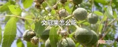 文冠果怎么吃