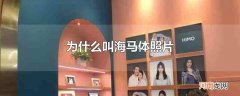 为什么叫海马体照片