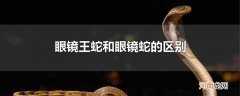 眼镜王蛇和眼镜蛇的区别