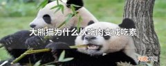 大熊猫为什么从吃肉变成吃素